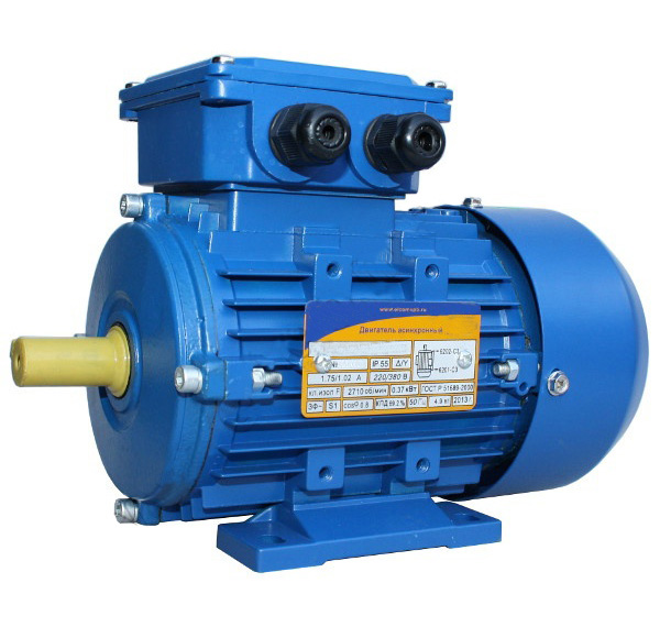 1081_1